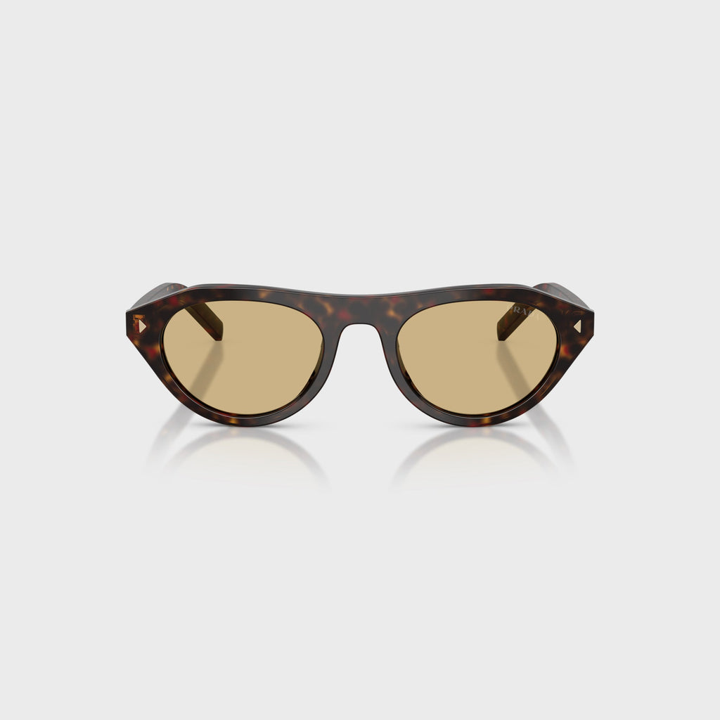 Prada PR B15S Acetate Sunglasses - Root Tortoise / Light Brown