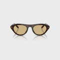 Prada PR B15S Acetate Sunglasses - Root Tortoise / Light Brown