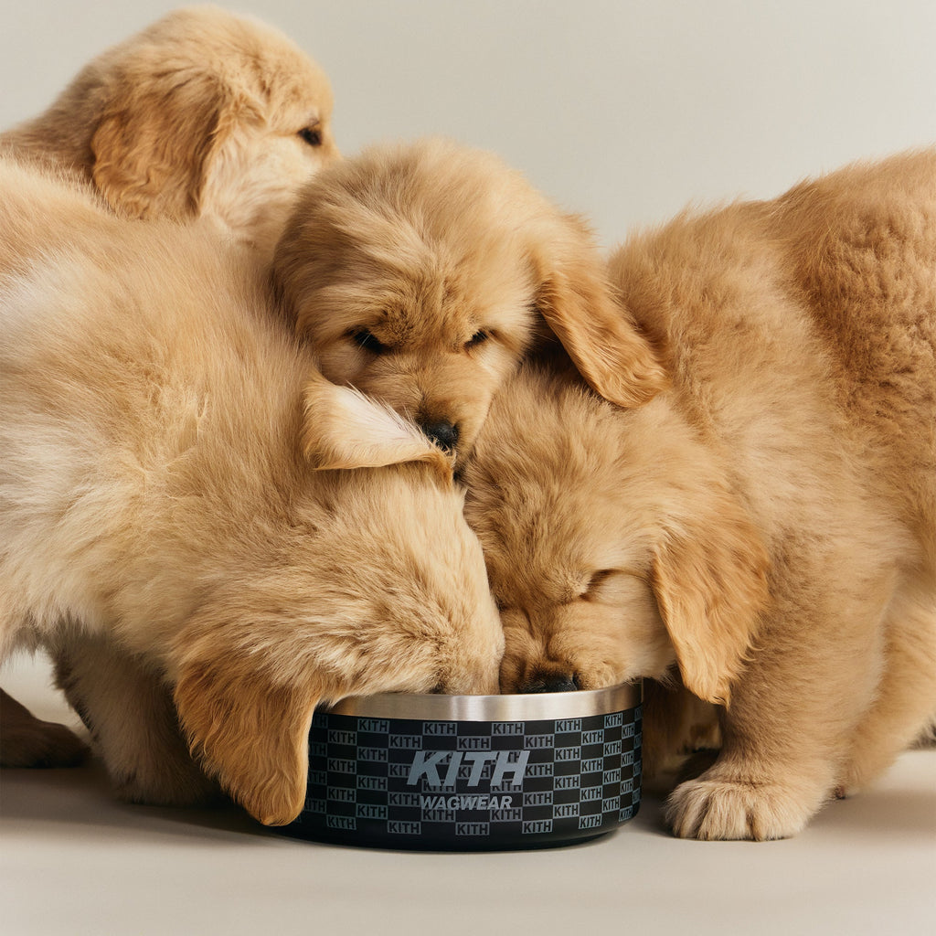 Kith for wagwear Metal Dog Bowl - Black