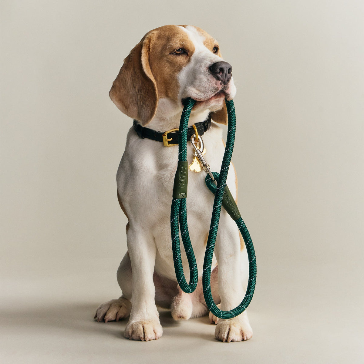 Kith for wagwear Rope Leash - Stadium