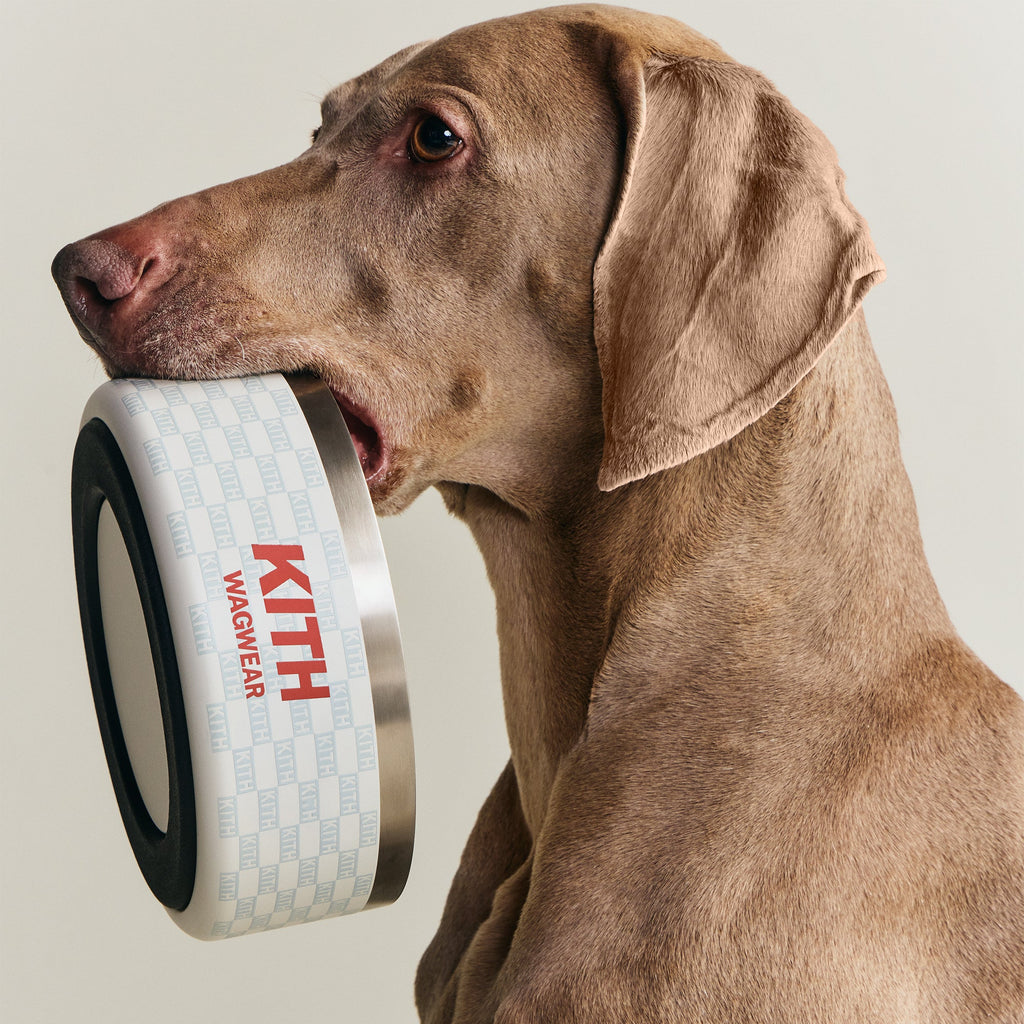 Kith for wagwear Metal Dog Bowl - Sandrift