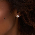 GLD PROMO - WOMEN Micro Clustered Diamond Earrings in Yellow Gold
