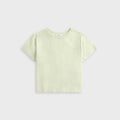 Agolde Adine Shrunken Tee - Mint Cream