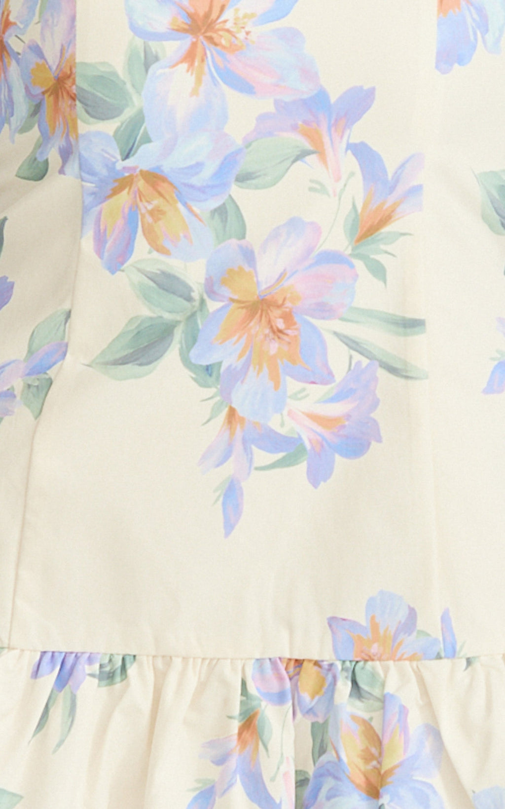 Astra Mini Dress - Balconette Bodice Drop Waist Dress in Astra Posey Floral Print