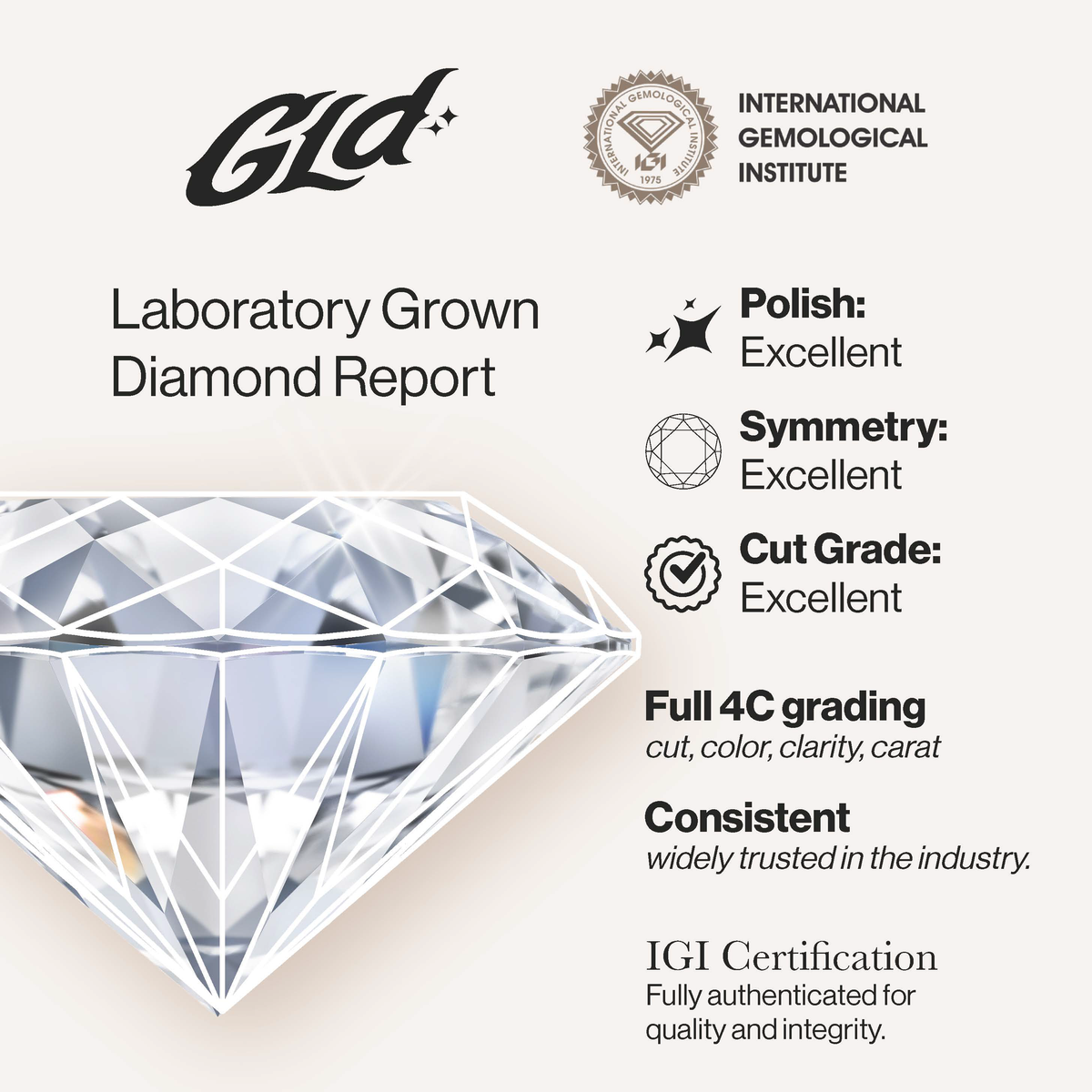 GLD Women Round Stone Thick Lab Diamond Engagement Ring in Platinum
