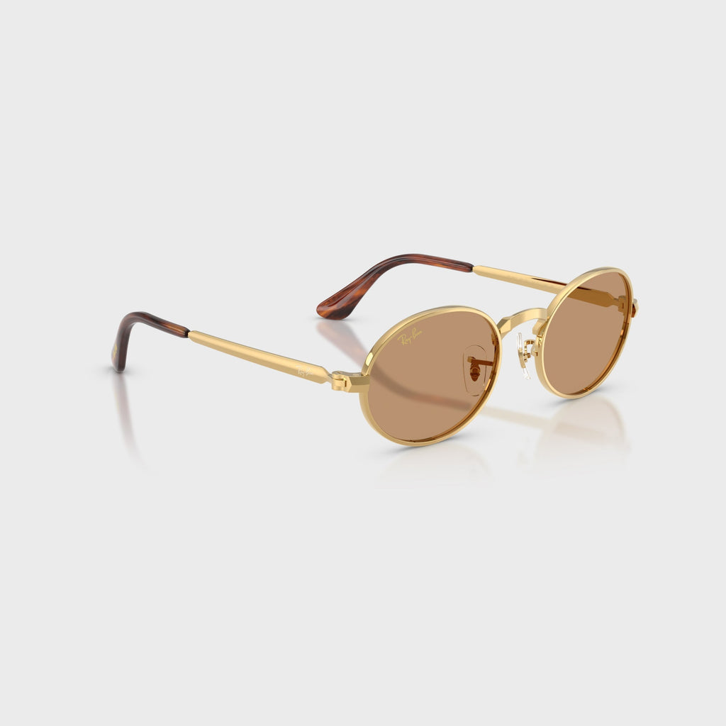 Ray-Ban x A$AP ROCKY Bold Metal Sunglasses - Gold / Brown