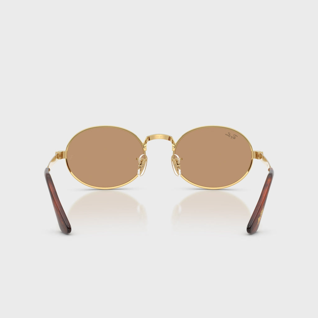 Ray-Ban x A$AP ROCKY Bold Metal Sunglasses - Gold / Brown