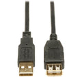 Tripp-Lite 6-Ft. USB 2.0 Extension Cable (A M/F) - U024006 - image 1